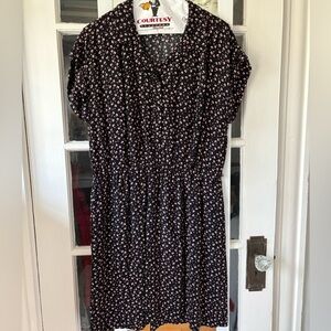 Loft , collared, floral v neck dress